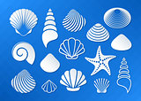 White sea shells and starfish icons