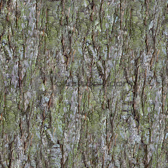Pine Bark Pattern