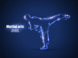 Motion design. Silhouette of a karateka doing standing side kick. Blur and light isolated on black background. Vector illustration