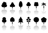 isolated tree set with reflection