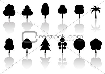 isolated tree set with reflection