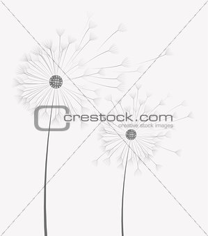 Vector dandelion flower