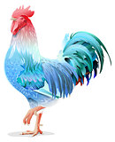 Blue Rooster symbol 2017 by Chinese calendar
