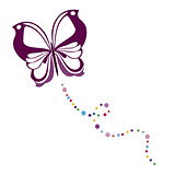 butterfly vector 4