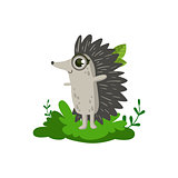 Hedgehod Friendly Forest Animal