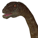 Malawisaurus Dinosaur Head
