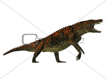 Uberabasuchus Side Profile