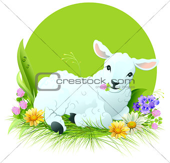 Eid al Adha. White lamb lying on grass