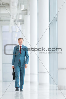 Businessman with briefcase 