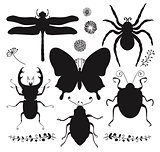 Vector Collection of Black Hand Drawn Insect Shapes
