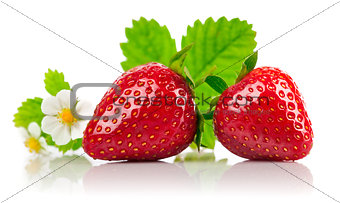 Strawberries with green leaf and flowers isolated