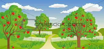 Rural landscape with apple tree