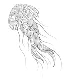 jellyfish on white background
