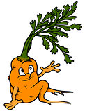 Cartoon Carrot