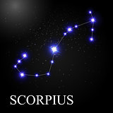 Scorpius Zodiac Sign with Beautiful Bright Stars on the Backgrou
