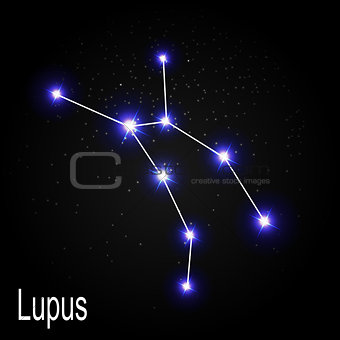 Lupus Constellation with Beautiful Bright Stars on the Backgroun