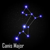 Canis Major Constellation with Beautiful Bright Stars on the Bac