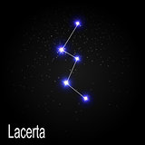 Lacerta Constellation with Beautiful Bright Stars on the Backgro