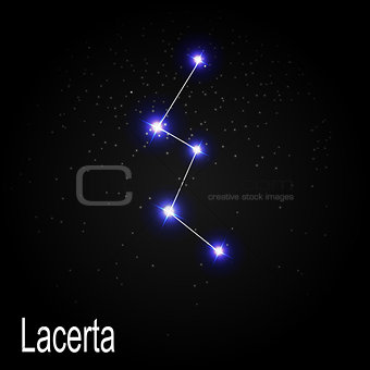 Lacerta Constellation with Beautiful Bright Stars on the Backgro
