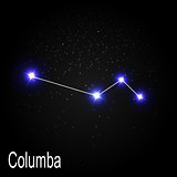Columba Constellation with Beautiful Bright Stars on the Backgro