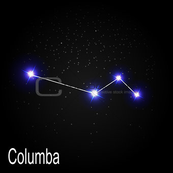 Columba Constellation with Beautiful Bright Stars on the Backgro