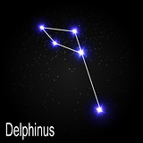 Delphinus Constellation with Beautiful Bright Stars on the Backg