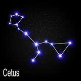 Cetus Constellation with Beautiful Bright Stars on the Backgroun
