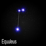 Equuleus Constellation with Beautiful Bright Stars on the Backgr