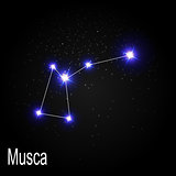 Musca Constellation with Beautiful Bright Stars on the Backgroun