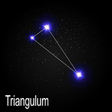 Triangulum Constellation with Beautiful Bright Stars on the Back