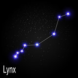 Lynx Constellation with Beautiful Bright Stars on the Background