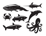 Collection of sea animals isolated on white background.