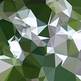 Castleton Green Abstract Low Polygon Background