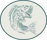 Largemouth Bass Fish Oval Etching