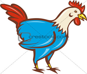 Chicken Rooster Side Cartoon