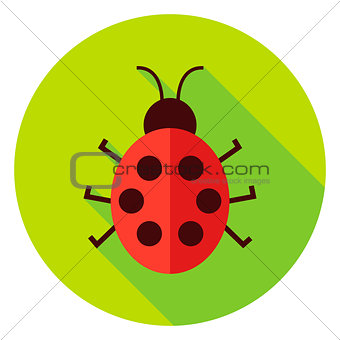 Ladybug Insect Circle Icon