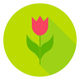 Spring Flower Tulip Circle Icon