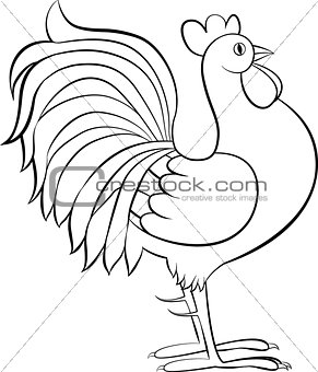 drawing of rooster or cock vector sketch