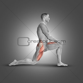 3D male figure in kneeling iliopsoas stretch