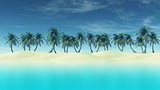 3D render of tropical landscape