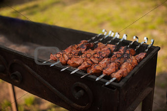 shashlik on a grill