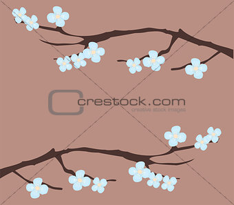 floral branches
