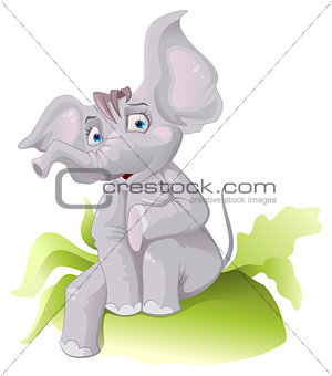Funny African elephant with big ears