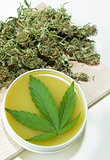 Cannabis marijuana home made healing ointment with cannabis green leaf