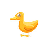 Duck Simplified Cute Illustration