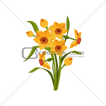 Daffodil Hand Drawn Realistic Illustration