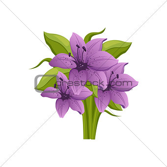 Purple Lily Hand Drawn Realistic Illustration