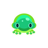 Frog Jelly Toy