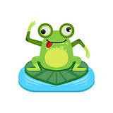 Crazy Cartoon Frog Character