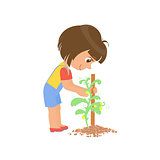 Girl Taking Care Of A Plant